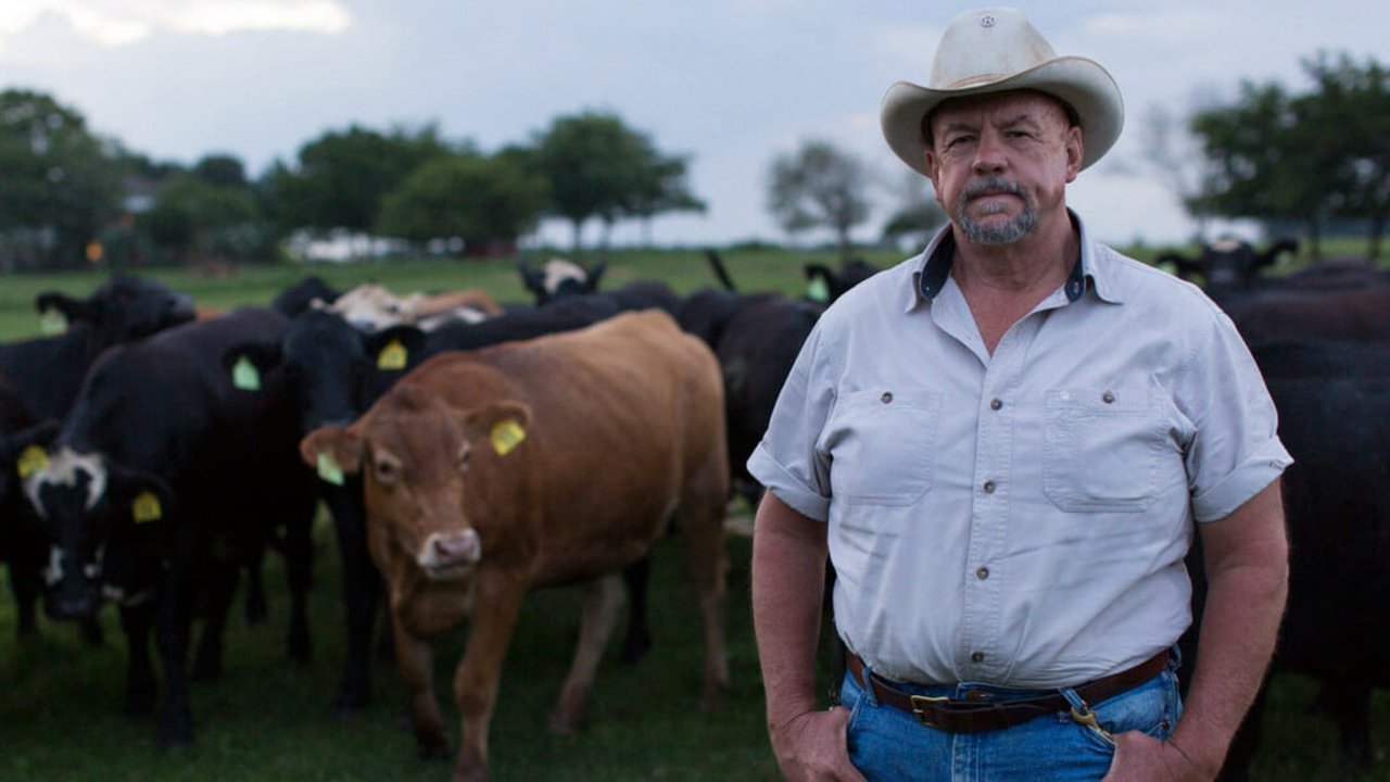 Food and Country Movie Screenshot 2