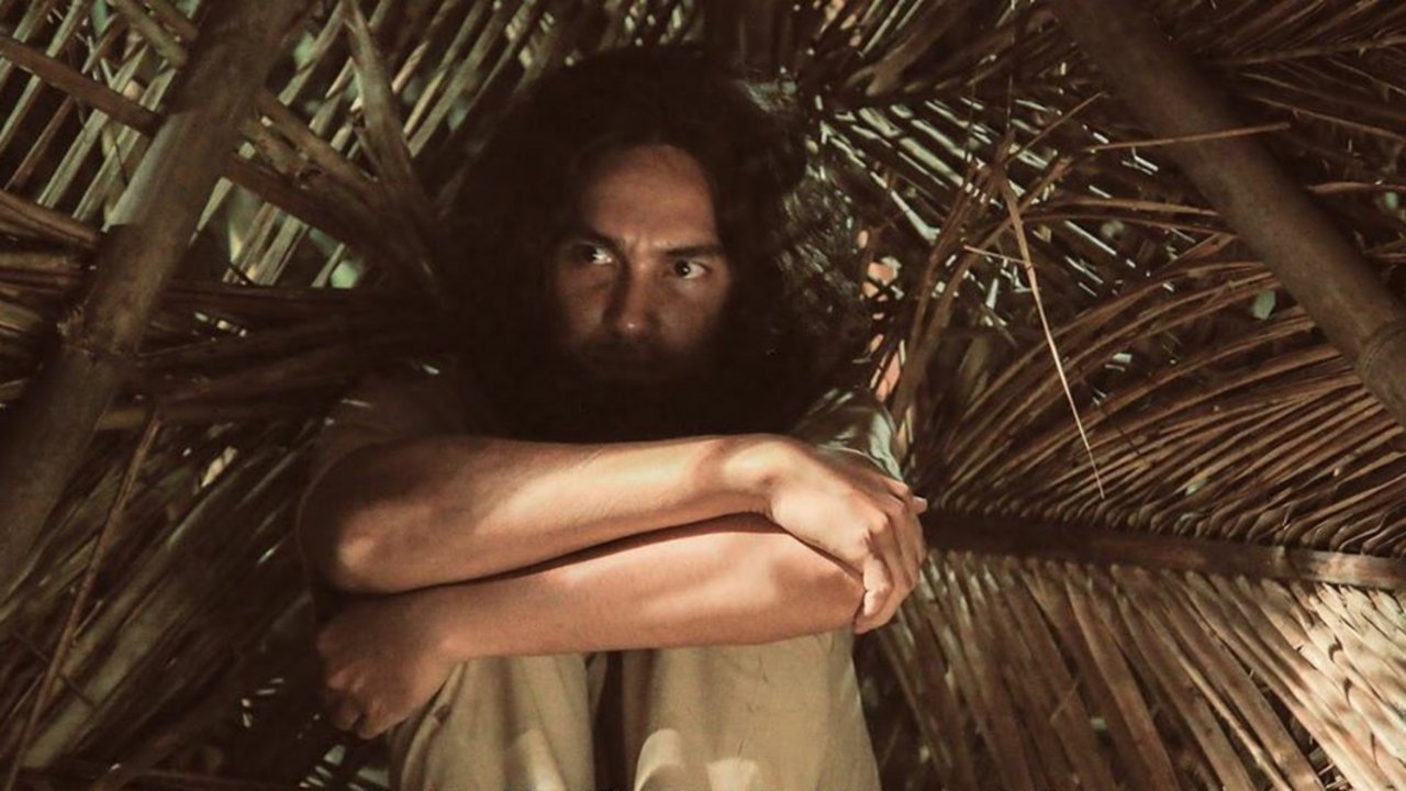 The Fugitive Movie Screenshot 3