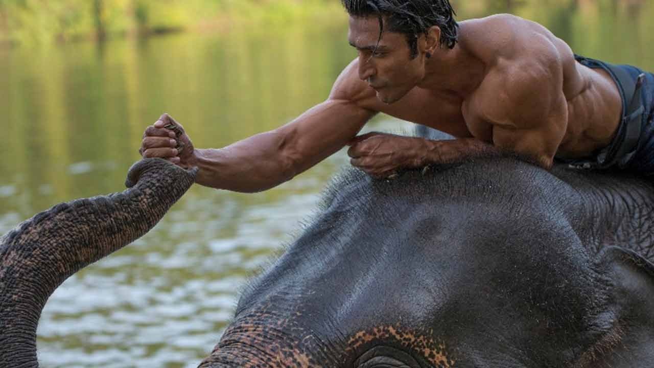 Junglee Movie Screenshot 1
