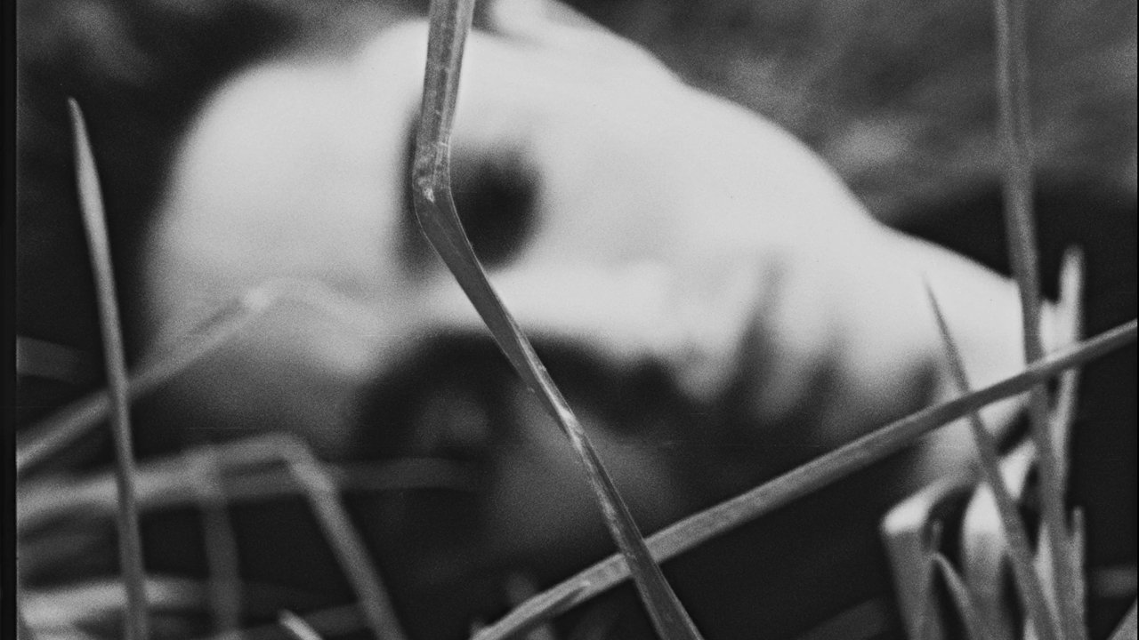 Amos, Vogel Movie Screenshot 3
