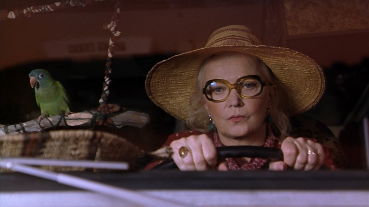 Paulie Movie Screenshot 2