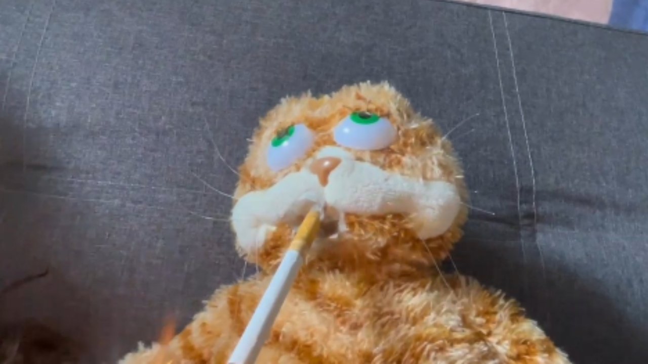 zonked. Movie Screenshot 2