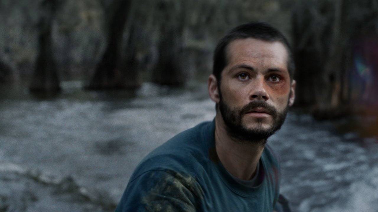 Caddo Lake Movie Screenshot 4