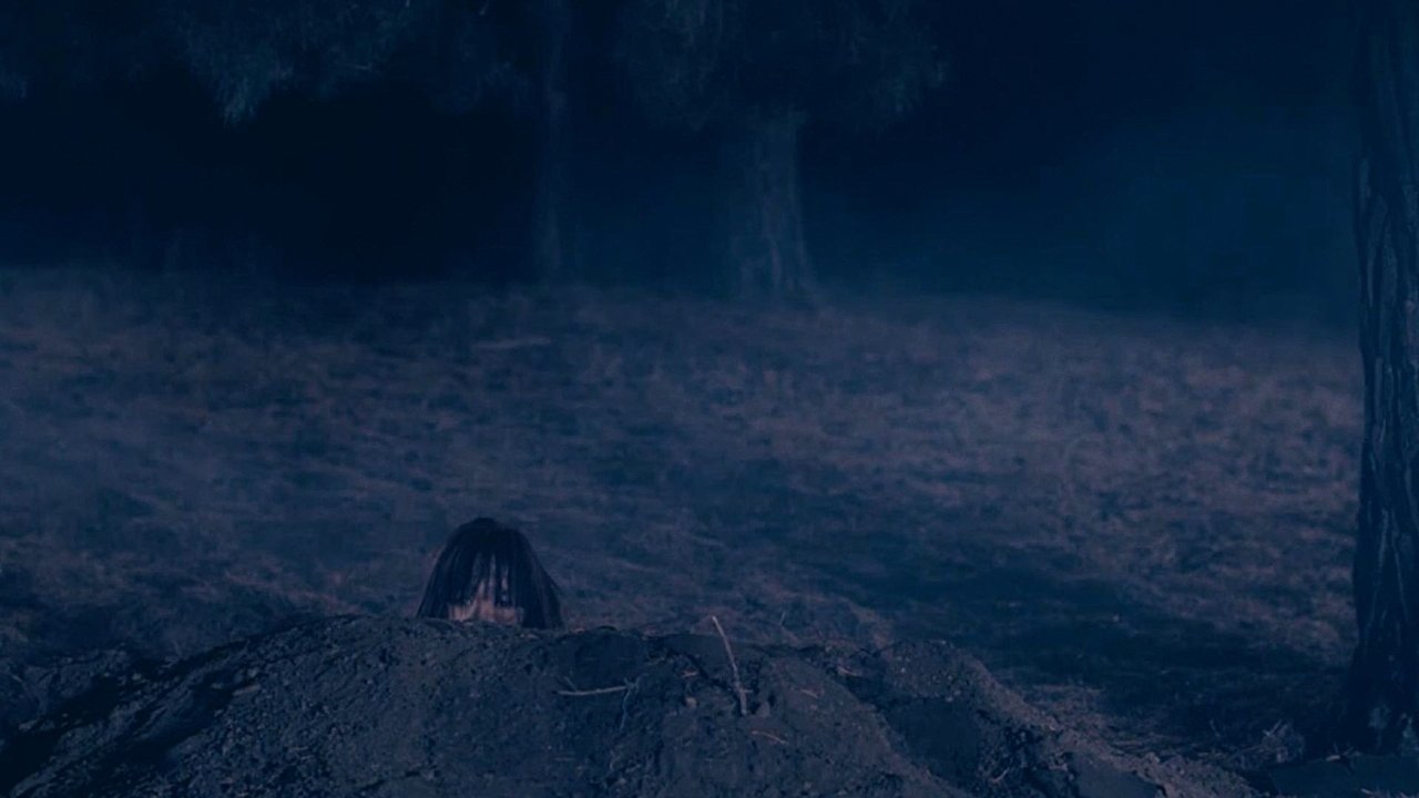 The Gladiolus Movie Screenshot 3