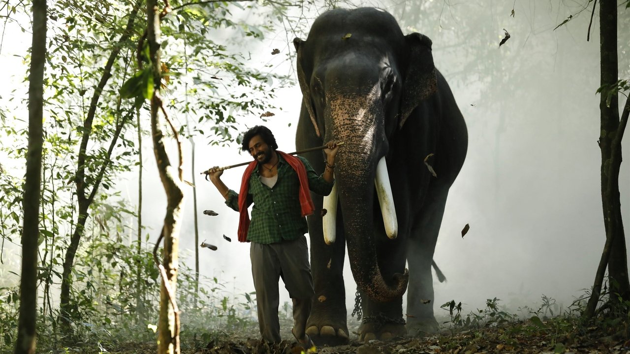 Kaadan Movie Screenshot 5