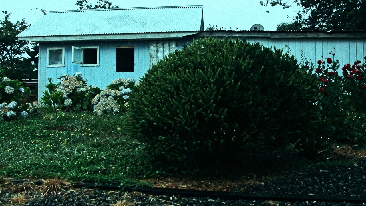 Looking South Movie Screenshot 1