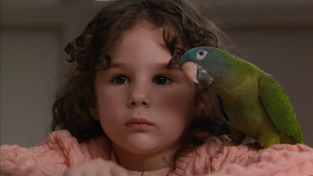 Paulie Movie Screenshot 4