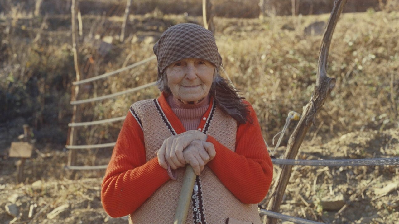 Common Pear Movie Screenshot 1