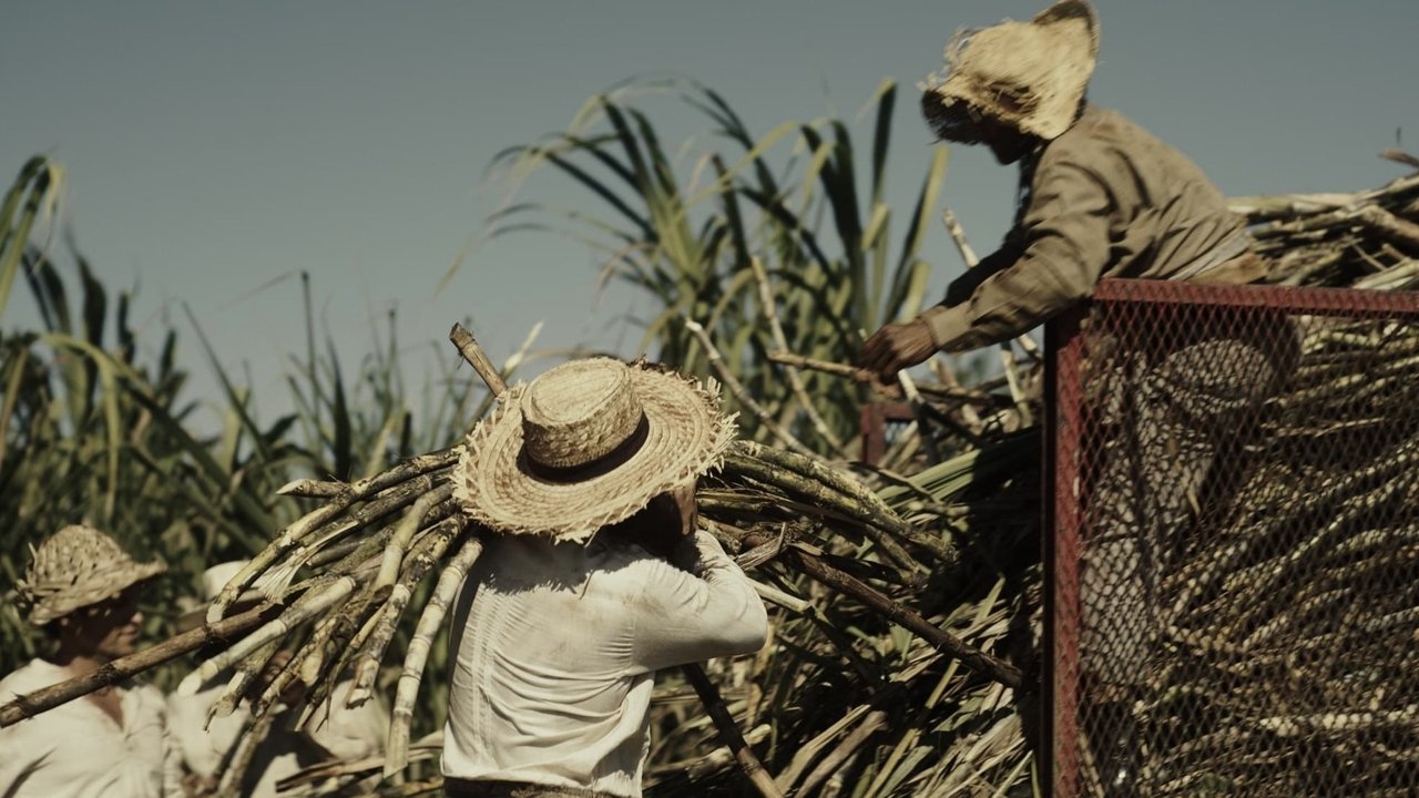 Once Upon a Time in the Caribbean Movie Screenshot 3