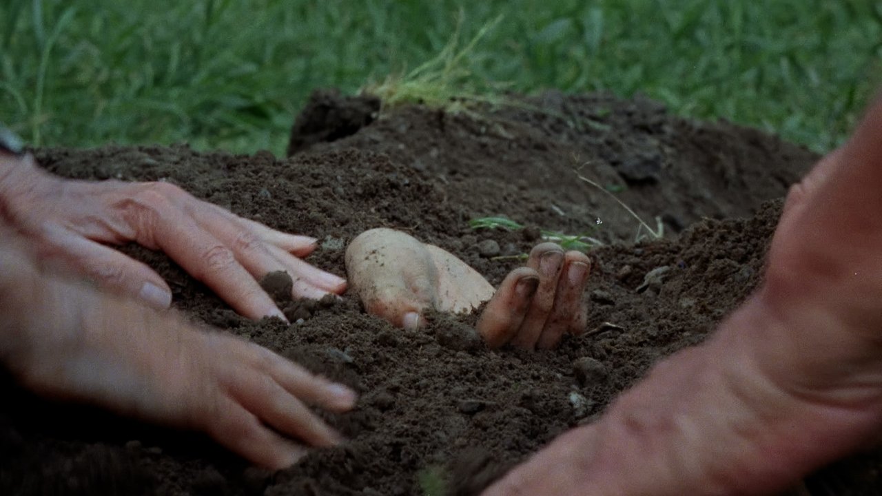 Vestigis Movie Screenshot 3