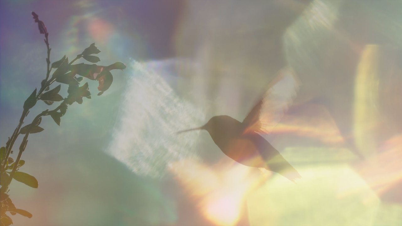 Every Little Thing Movie Screenshot 1