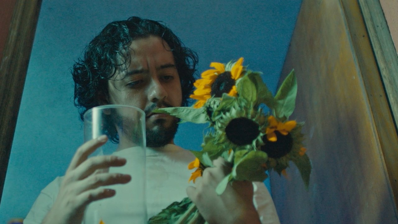Preludios de sol Movie Screenshot 3