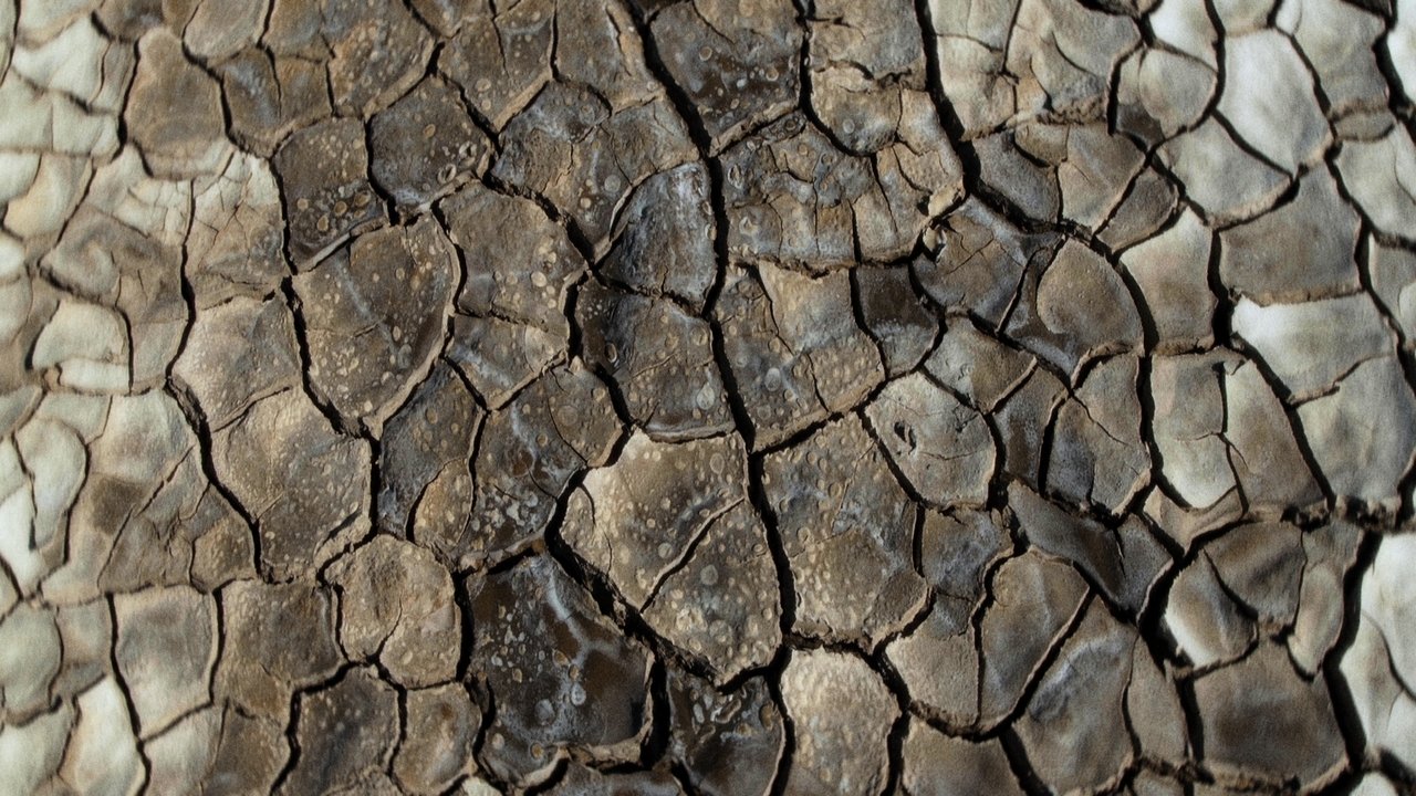 What Does the Mud Whisper Movie Screenshot 1